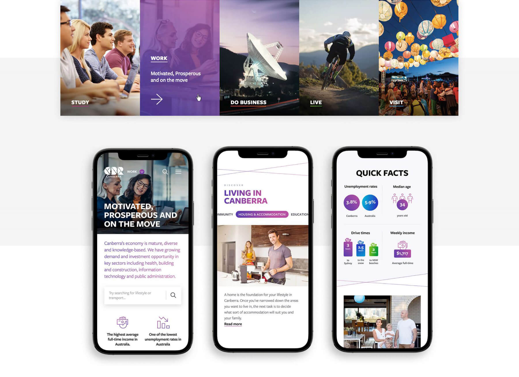 Avenue Canberra.com.au case study